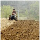 내마음의외갓집 이미지