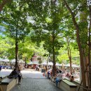 쓰고 메고 이미지