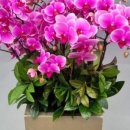 천호대로 213길 이미지