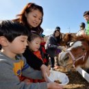 동물왕국 이미지