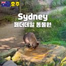 오덕로217-2 앞 | 시드니 페더데일 동물원 쿼카 입장료 체험 후기