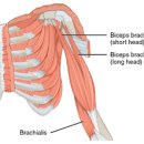 하트핏 휘트니스 이미지