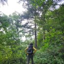 9월6일 만덕지맥(95th) 이미지