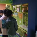 해남동초등학교 이미지