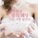 베누스 이미지