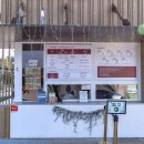 HEY, HONEY, WORKOUT! | 힐링의 공간, 해남 솔라시도 산이정원 방문 후기 A healing space with nature, a visit to Haenam...