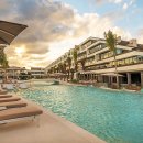 팜 아틀리에 이미지