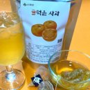 더엘코리아