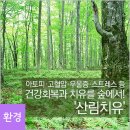 아토피·고혈압·우울증·스트레스 등 건강회복과 치유를 숲에서! `산림치유` 이미지