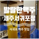 미라클 | 서귀포 술집 한라봉하이볼이 맛있는 발랄한맥주 제주서귀포점 올레시장 술집 추천