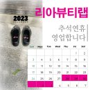 리아뷰티랩