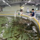 괴강관광지 야외음악당 | 괴산 충북아쿠아리움 입장료 주차비 무료 아이와 가볼 만한 곳