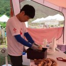 돼지야&닭 이미지