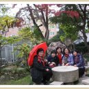 종로구립 박노수미술관 이미지