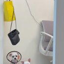 뚜뚜멍멍 이미지