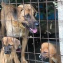 인천농장 이미지