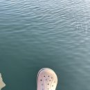 강구치과의원 이미지