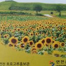 연천호로고루 이미지