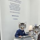 다비치안경 아산탕정역점 이미지