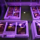 농협한우 참다운 정육식당 이미지