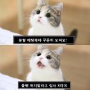 몬레
