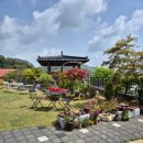 하늘새카페 이미지