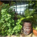 토브하르 이미지