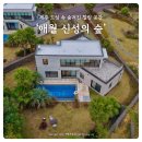 새마을로1R-47 | 제주 애월 풀빌라 추천｜숲속 힐링 숙소 신성의 숲 풀빌라 이용 후기