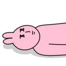 달곰 이미지