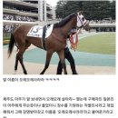 오레오레 이미지