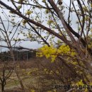 봉양1길 이미지