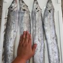 아이씨알 이미지