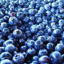 장수슈퍼 이미지