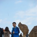 비안도초 Daum카페