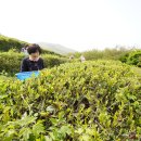 두륜산도립공원 관리사무소 이미지