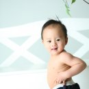 돌쟁이