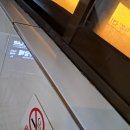 기초 수채화 기법부터 작품까지 이미지