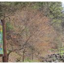 휴양림약수 이미지