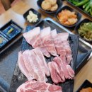 그레이스돈뭉치