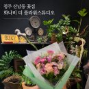스타일리쉬(stylish) | 특별한 꽃다발을 원한다면, 청주 산남동 꽃집 추천!! 플로리스트의 감각이 살아있는 화나비 방문 후기