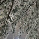 산본로431번길 이미지