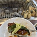 장어시대 이미지