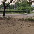 세븐일레븐 한강광나루1호점 이미지