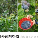 구례농장 이미지