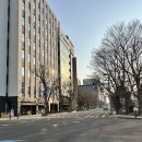 삿포로 인디고트래블 비에이 버스투어 크리스마스트리,탁신관,준페이 내돈내산 후기