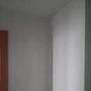 평화제일 이미지