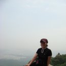 양희직 Daum카페