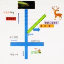장생사슴농장 이미지