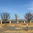 칠곡보오토캠핑장 | 구미 대구 근교 칠곡보오토캠핑장 B22후기 사이트 추천