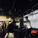 Top Gym 이미지